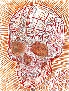 Lü†hårt • Skull Series • 92318